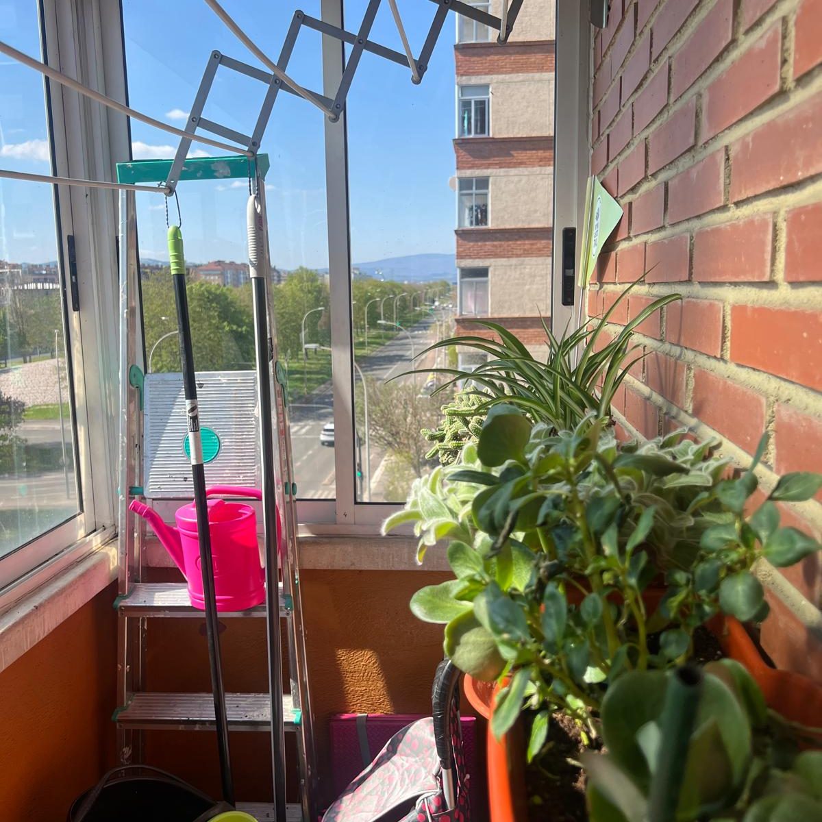 PHOTO-2025-06-16-11-23-29 5