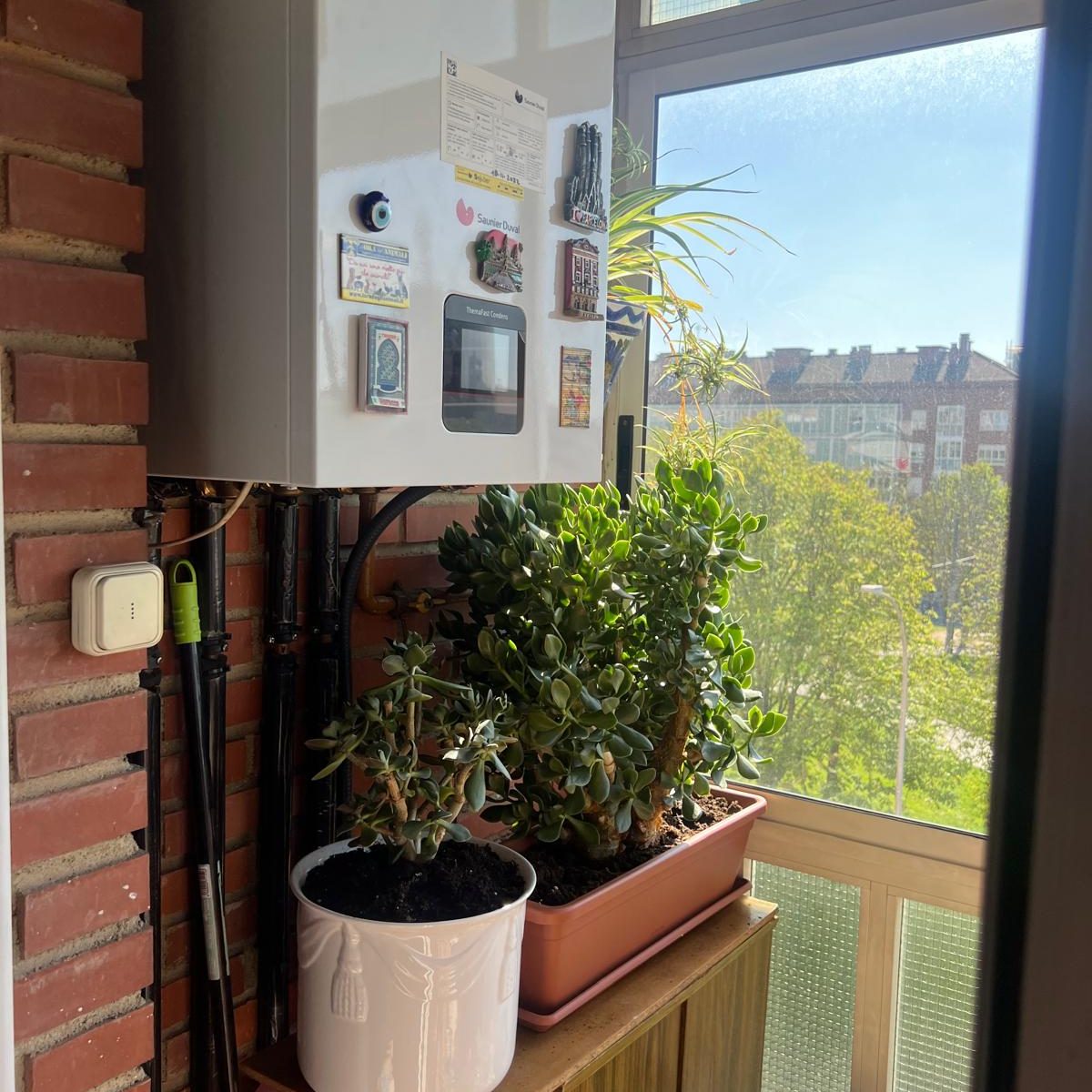 PHOTO-2025-06-16-11-23-47