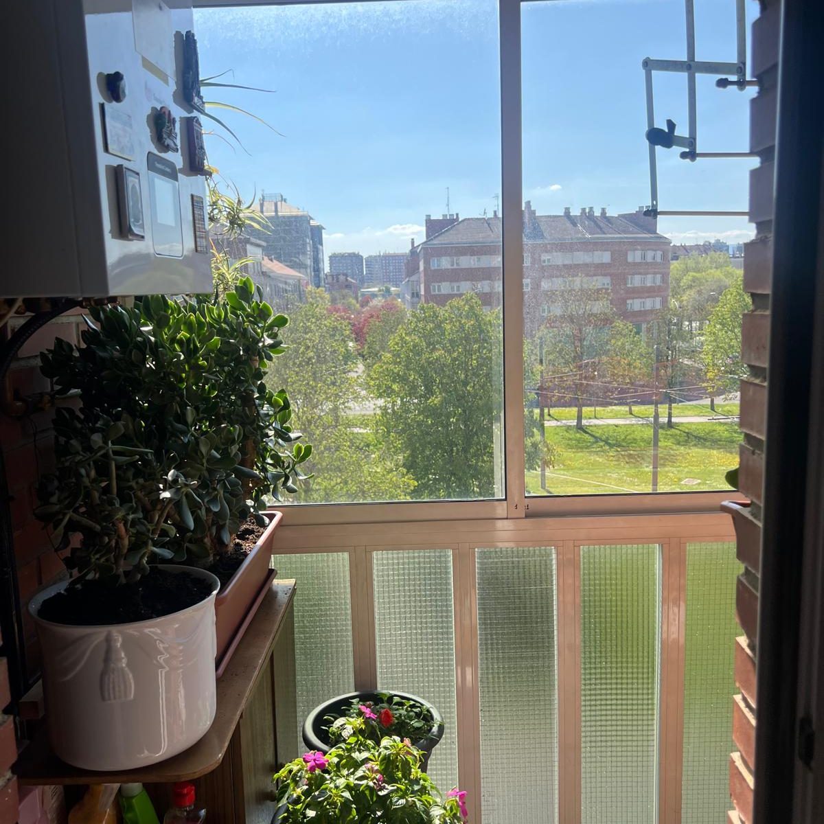 PHOTO-2025-06-16-11-23-47 2