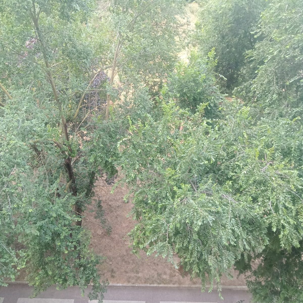 PHOTO-2025-08-22-17-19-58