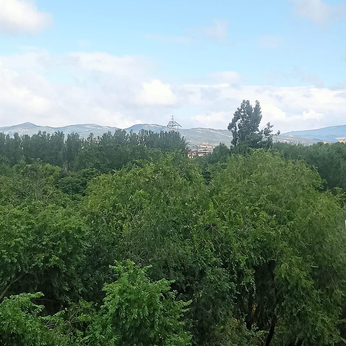 PHOTO-2025-08-22-17-19-58 2