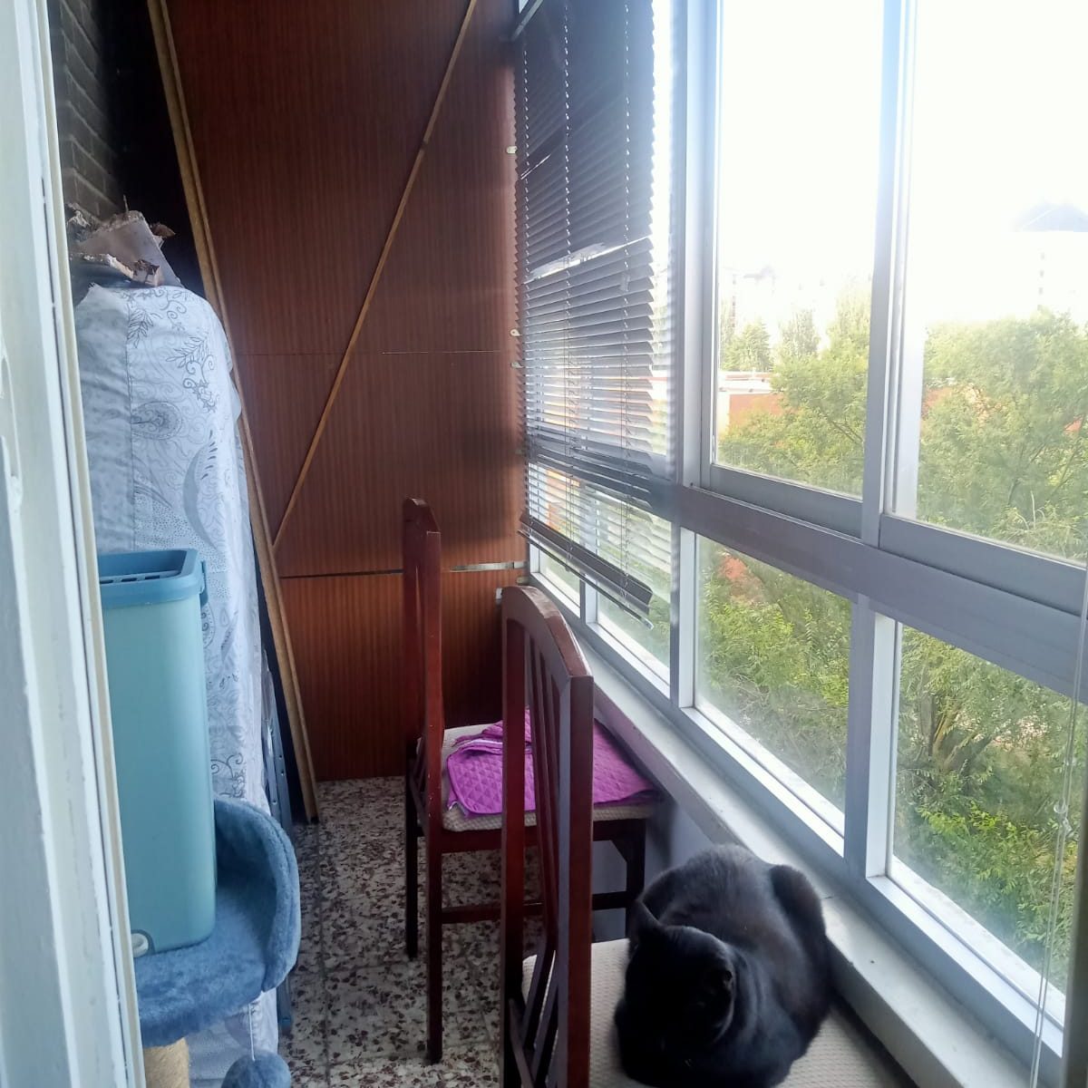 PHOTO-2025-08-22-17-19-58 6